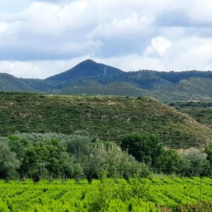 Montmaneu