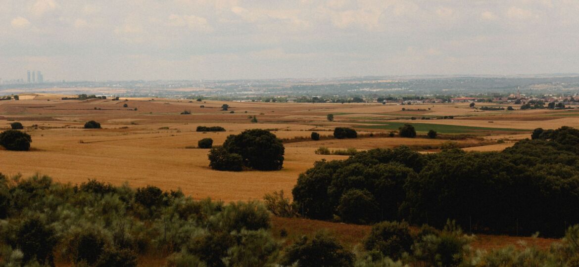 cuánto merece la pena alejarse para disfrutar del turismo rural