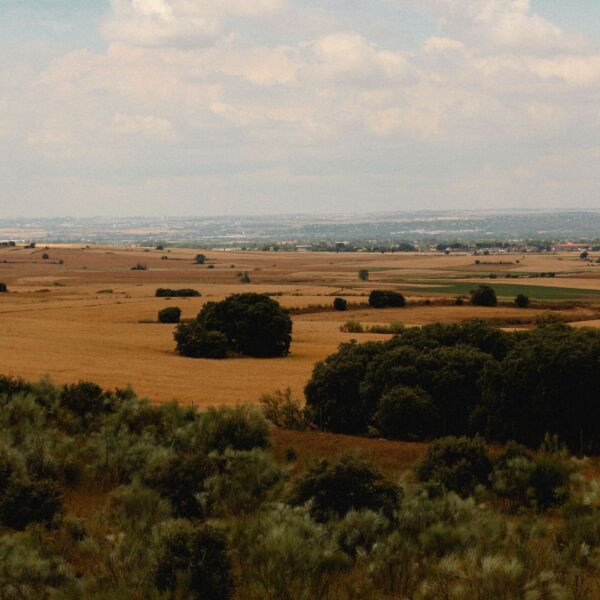 cuánto merece la pena alejarse para disfrutar del turismo rural
